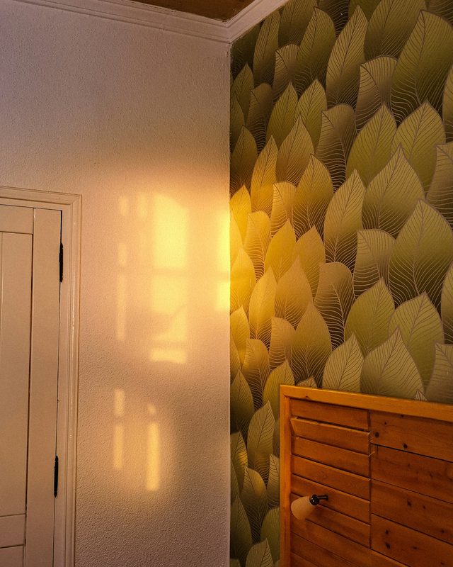 Room corner where an olive leaf-pattern wallpaper meets a white wall and door, lit by warm late-afternoon sun